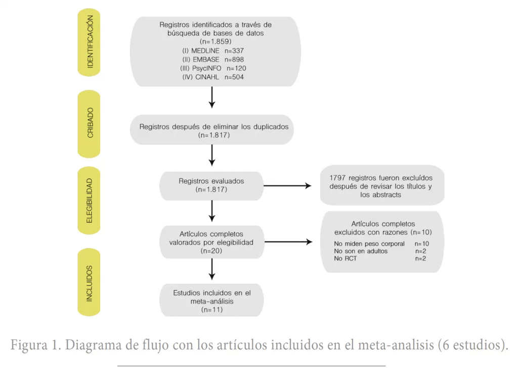 Diagrama de flujo con los artículos incluidos en el meta-analisis (